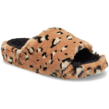 Slipper Leopard